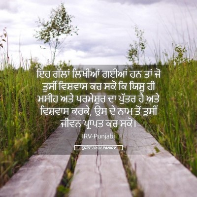 Picture 05 - ਯੂਹੰਨਾ 20:31 PANIRV - ਇਹ ਗੱਲਾਂ ਲਿਖੀਆਂ - Bible Verse Picture