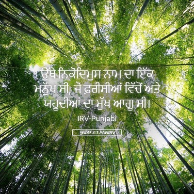 Picture 05 - ਯੂਹੰਨਾ 3:1 PANIRV - ਉੱਥੇ ਨਿਕੋਦਿਮੁਸ - Bible Verse Picture