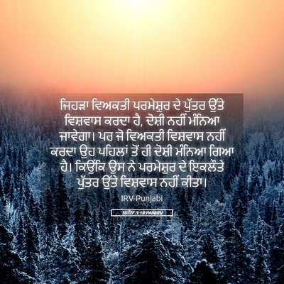 Picture 05 - ਯੂਹੰਨਾ 3:18 PANIRV - ਜਿਹੜਾ ਵਿਅਕਤੀ - Bible Verse Picture