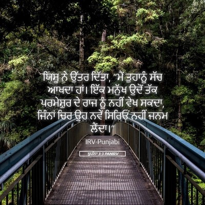 Picture 05 - ਯੂਹੰਨਾ 3:3 PANIRV - ਯਿਸੂ ਨੇ ਉੱਤਰ ਦਿੱਤਾ, - Bible Verse Picture