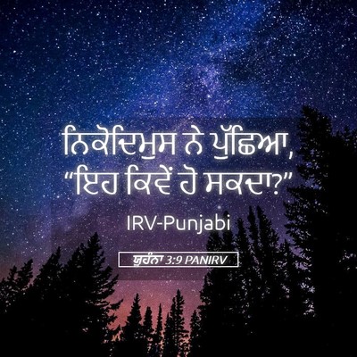 Picture 05 - ਯੂਹੰਨਾ 3:9 PANIRV - ਨਿਕੋਦਿਮੁਸ ਨੇ - Bible Verse Picture
