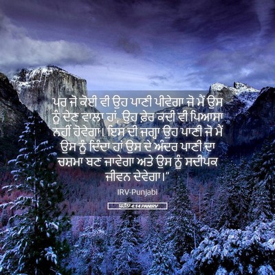 Picture 05 - ਯੂਹੰਨਾ 4:14 PANIRV - ਪਰ ਜੋ ਕੋਈ ਵੀ ਉਹ - Bible Verse Picture