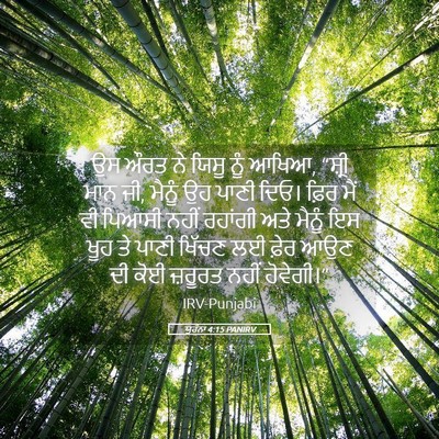 Picture 05 - ਯੂਹੰਨਾ 4:15 PANIRV - ਉਸ ਔਰਤ ਨੇ ਯਿਸੂ ਨੂੰ - Bible Verse Picture