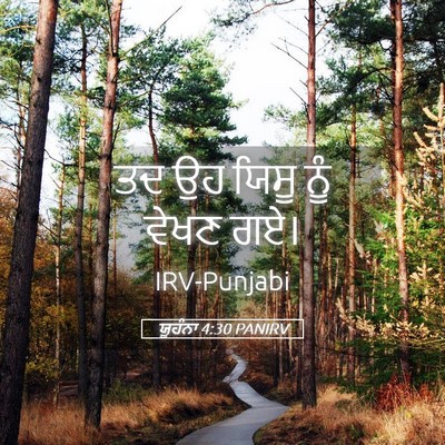 Picture 05 - ਯੂਹੰਨਾ 4:30 PANIRV - ਤਦ ਉਹ ਯਿਸੂ ਨੂੰ ਵੇਖਣ - Bible Verse Picture