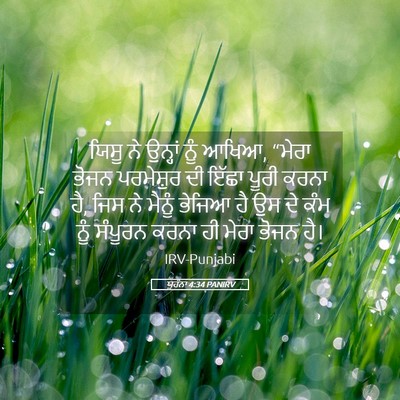 Picture 05 - ਯੂਹੰਨਾ 4:34 PANIRV - ਯਿਸੂ ਨੇ ਉਨ੍ਹਾਂ ਨੂੰ - Bible Verse Picture