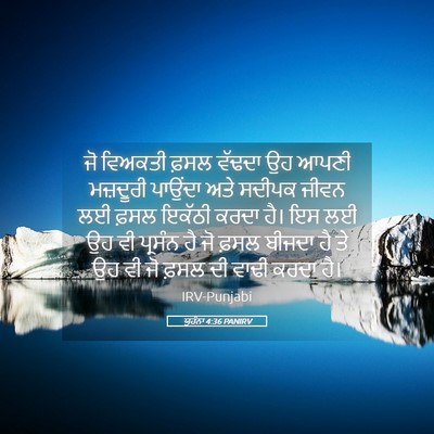Picture 05 - ਯੂਹੰਨਾ 4:36 PANIRV - ਜੋ ਵਿਅਕਤੀ ਫ਼ਸਲ - Bible Verse Picture