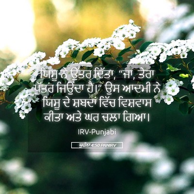 Picture 05 - ਯੂਹੰਨਾ 4:50 PANIRV - ਯਿਸੂ ਨੇ ਉੱਤਰ ਦਿੱਤਾ, - Bible Verse Picture