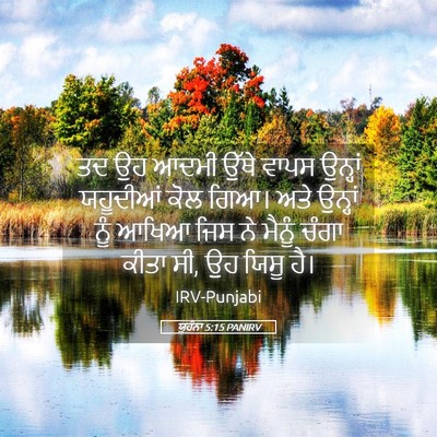 Picture 05 - ਯੂਹੰਨਾ 5:15 PANIRV - ਤਦ ਉਹ ਆਦਮੀ ਉੱਥੇ - Bible Verse Picture