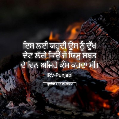 Picture 05 - ਯੂਹੰਨਾ 5:16 PANIRV - ਇਸ ਲਈ ਯਹੂਦੀ ਉਸ ਨੂੰ - Bible Verse Picture