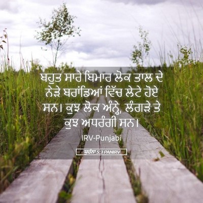 Picture 05 - ਯੂਹੰਨਾ 5:3 PANIRV - ਬਹੁਤ ਸਾਰੇ ਬਿਮਾਰ - Bible Verse Picture