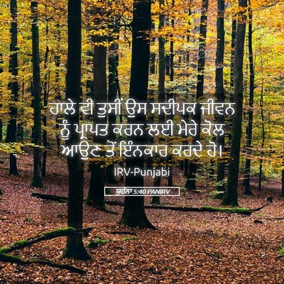 Picture 05 - ਯੂਹੰਨਾ 5:40 PANIRV - ਹਾਲੇ ਵੀ ਤੁਸੀਂ ਉਸ - Bible Verse Picture