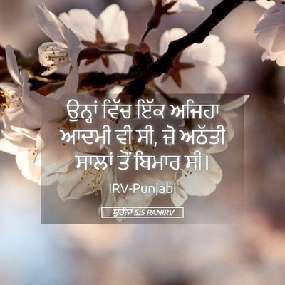 Picture 05 - ਯੂਹੰਨਾ 5:5 PANIRV - ਉਨ੍ਹਾਂ ਵਿੱਚ ਇੱਕ - Bible Verse Picture