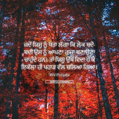 Picture 05 - ਯੂਹੰਨਾ 6:15 PANIRV - ਜਦੋਂ ਯਿਸੂ ਨੂੰ ਪਤਾ - Bible Verse Picture