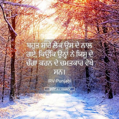 Picture 05 - ਯੂਹੰਨਾ 6:2 PANIRV - ਬਹੁਤ ਸਾਰੇ ਲੋਕ ਉਸ ਦੇ - Bible Verse Picture