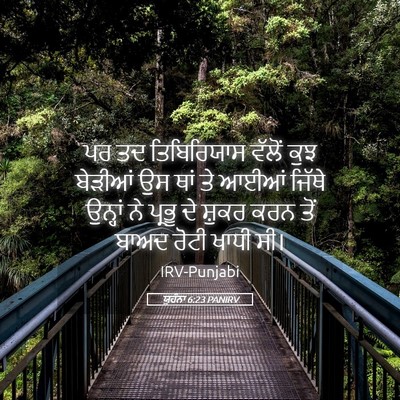 Picture 05 - ਯੂਹੰਨਾ 6:23 PANIRV - ਪਰ ਤਦ ਤਿਬਿਰਿਯਾਸ - Bible Verse Picture