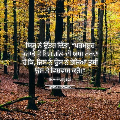 Picture 05 - ਯੂਹੰਨਾ 6:29 PANIRV - ਯਿਸੂ ਨੇ ਉੱਤਰ ਦਿੱਤਾ, - Bible Verse Picture