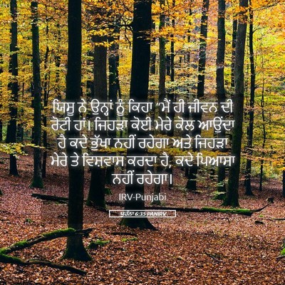 Picture 05 - ਯੂਹੰਨਾ 6:35 PANIRV - ਯਿਸੂ ਨੇ ਉਨ੍ਹਾਂ ਨੂੰ - Bible Verse Picture