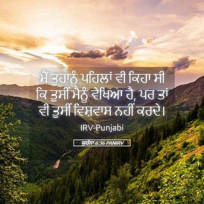 Picture 05 - ਯੂਹੰਨਾ 6:36 PANIRV - ਮੈਂ ਤੁਹਾਨੂੰ - Bible Verse Picture