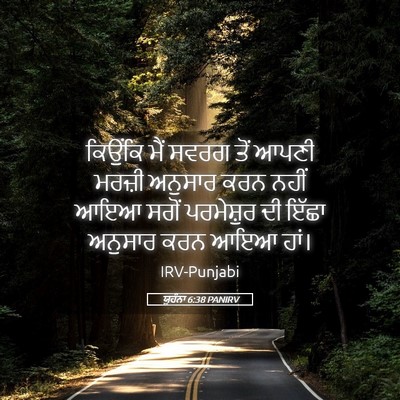 Picture 05 - ਯੂਹੰਨਾ 6:38 PANIRV - ਕਿਉਂਕਿ ਮੈਂ ਸਵਰਗ - Bible Verse Picture