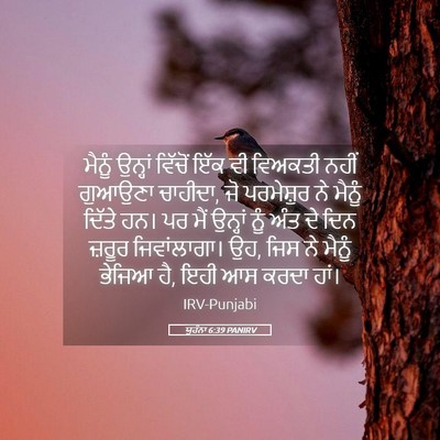 Picture 05 - ਯੂਹੰਨਾ 6:39 PANIRV - ਮੈਨੂੰ ਉਨ੍ਹਾਂ - Bible Verse Picture