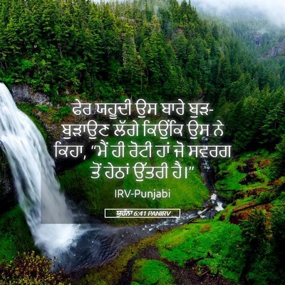 Picture 05 - ਯੂਹੰਨਾ 6:41 PANIRV - ਫੇਰ ਯਹੂਦੀ ਉਸ ਬਾਰੇ - Bible Verse Picture