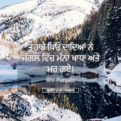 Picture 05 - ਯੂਹੰਨਾ 6:49 PANIRV - ਤੁਹਾਡੇ ਪਿਓ ਦਾਦਿਆਂ - Bible Verse Picture