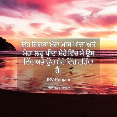 Picture 05 - ਯੂਹੰਨਾ 6:56 PANIRV - ਉਹ ਜਿਹੜਾ ਮੇਰਾ ਮਾਸ - Bible Verse Picture
