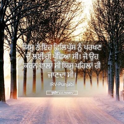 Picture 05 - ਯੂਹੰਨਾ 6:6 PANIRV - ਯਿਸੂ ਨੇ ਇਹ - Bible Verse Picture
