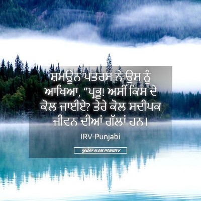 Picture 05 - ਯੂਹੰਨਾ 6:68 PANIRV - ਸ਼ਮਊਨ ਪਤਰਸ ਨੇ ਉਸ - Bible Verse Picture