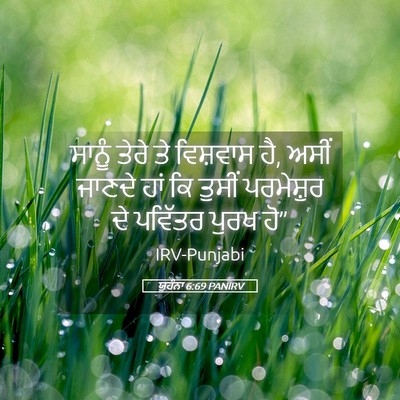 Picture 05 - ਯੂਹੰਨਾ 6:69 PANIRV - ਸਾਨੂੰ ਤੇਰੇ ਤੇ - Bible Verse Picture