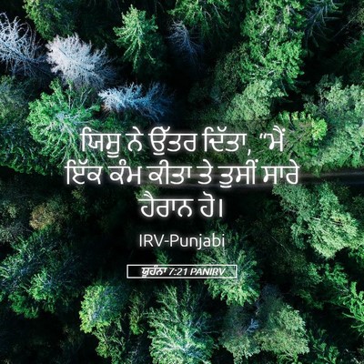 Picture 05 - ਯੂਹੰਨਾ 7:21 PANIRV - ਯਿਸੂ ਨੇ ਉੱਤਰ ਦਿੱਤਾ, - Bible Verse Picture