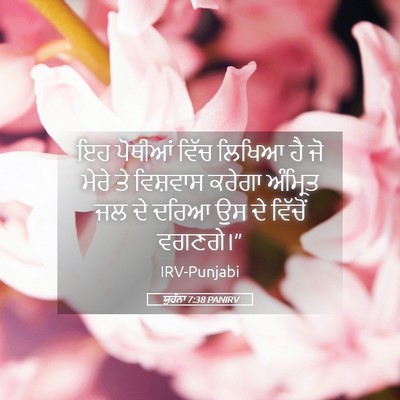 Picture 05 - ਯੂਹੰਨਾ 7:38 PANIRV - ਇਹ ਪੋਥੀਆਂ ਵਿੱਚ - Bible Verse Picture