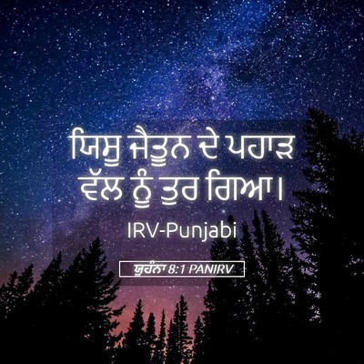 Picture 05 - ਯੂਹੰਨਾ 8:1 PANIRV - ਯਿਸੂ ਜੈਤੂਨ ਦੇ ਪਹਾੜ - Bible Verse Picture