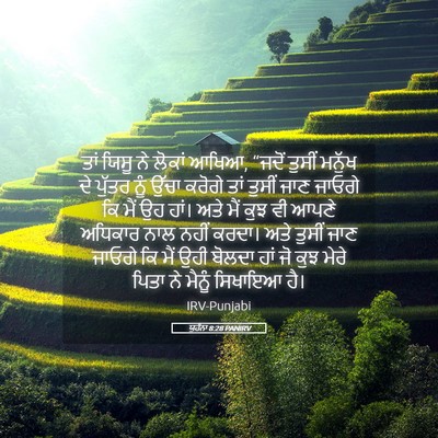 Picture 05 - ਯੂਹੰਨਾ 8:28 PANIRV - ਤਾਂ ਯਿਸੂ ਨੇ ਲੋਕਾਂ - Bible Verse Picture