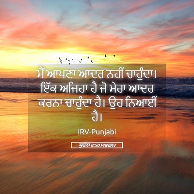 Picture 05 - ਯੂਹੰਨਾ 8:50 PANIRV - ਮੈਂ ਆਪਣਾ ਆਦਰ ਨਹੀਂ - Bible Verse Picture