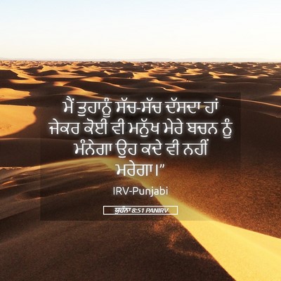 Picture 05 - ਯੂਹੰਨਾ 8:51 PANIRV - ਮੈਂ ਤੁਹਾਨੂੰ - Bible Verse Picture