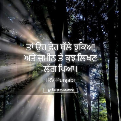 Picture 05 - ਯੂਹੰਨਾ 8:8 PANIRV - ਤਾਂ ਉਹ ਫ਼ੇਰ ਥੱਲੇ - Bible Verse Picture