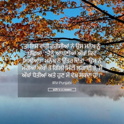 Picture 05 - ਯੂਹੰਨਾ 9:15 PANIRV - ਤਾਂ ਇਸ ਵਾਰੀ - Bible Verse Picture