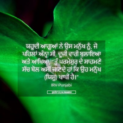 Picture 05 - ਯੂਹੰਨਾ 9:24 PANIRV - ਯਹੂਦੀ ਆਗੂਆਂ ਨੇ ਉਸ - Bible Verse Picture