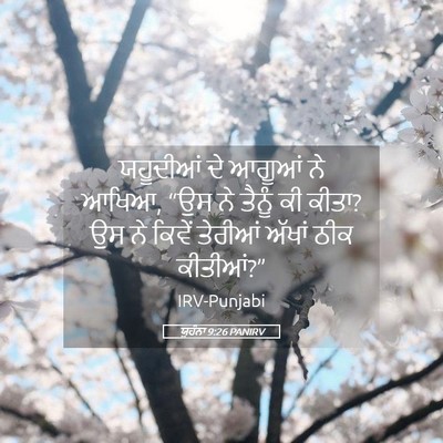 Picture 05 - ਯੂਹੰਨਾ 9:26 PANIRV - ਯਹੂਦੀਆਂ ਦੇ ਆਗੂਆਂ - Bible Verse Picture