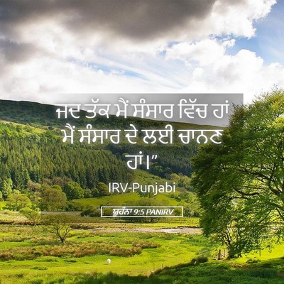 Picture 05 - ਯੂਹੰਨਾ 9:5 PANIRV - ਜਦ ਤੱਕ ਮੈਂ ਸੰਸਾਰ - Bible Verse Picture