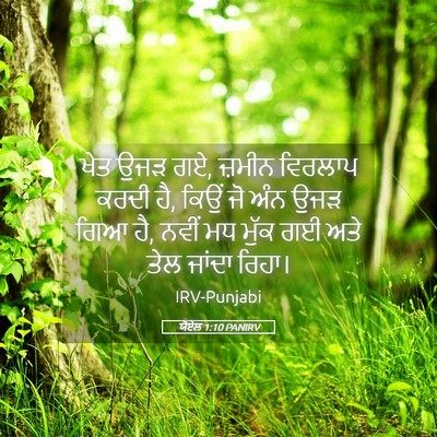 Picture 05 - ਯੋਏਲ 1:10 PANIRV - ਖੇਤ ਉਜੜ ਗਏ, ਜ਼ਮੀਨ - Bible Verse Picture
