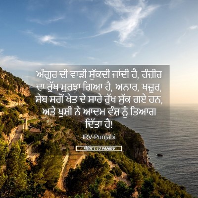 Picture 05 - ਯੋਏਲ 1:12 PANIRV - ਅੰਗੂਰ ਦੀ ਵਾੜੀ - Bible Verse Picture