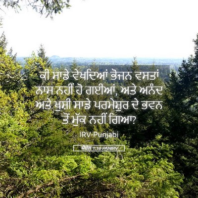 Picture 05 - ਯੋਏਲ 1:16 PANIRV - ਕੀ ਸਾਡੇ ਵੇਖਦਿਆਂ - Bible Verse Picture