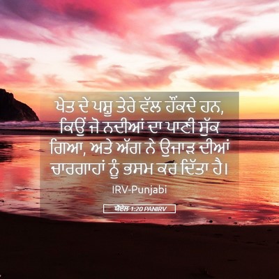 Picture 05 - ਯੋਏਲ 1:20 PANIRV - ਖੇਤ ਦੇ ਪਸ਼ੂ ਤੇਰੇ - Bible Verse Picture