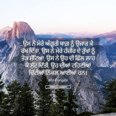 Picture 05 - ਯੋਏਲ 1:7 PANIRV - ਉਸ ਨੇ ਮੇਰੇ ਅੰਗੂਰੀ - Bible Verse Picture
