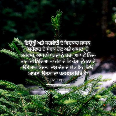 Picture 05 - ਯੋਏਲ 2:17 PANIRV - ਡਿਉੜ੍ਹੀ ਅਤੇ - Bible Verse Picture