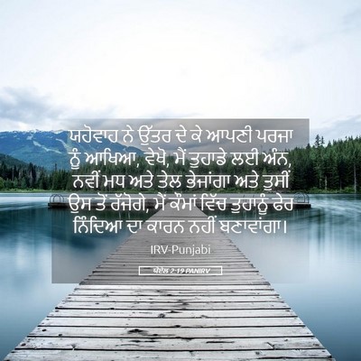 Picture 05 - ਯੋਏਲ 2:19 PANIRV - ਯਹੋਵਾਹ ਨੇ ਉੱਤਰ ਦੇ - Bible Verse Picture