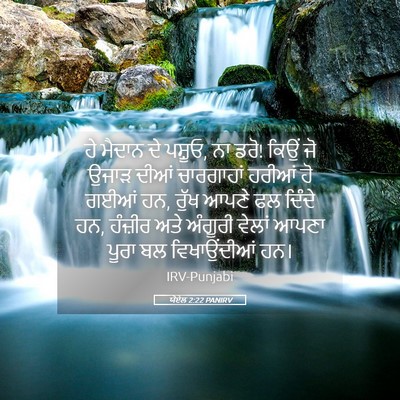 Picture 05 - ਯੋਏਲ 2:22 PANIRV - ਹੇ ਮੈਦਾਨ ਦੇ ਪਸ਼ੂਓ, - Bible Verse Picture