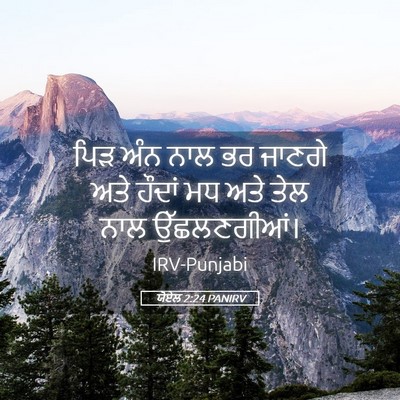 Picture 05 - ਯੋਏਲ 2:24 PANIRV - ਪਿੜ ਅੰਨ ਨਾਲ ਭਰ - Bible Verse Picture